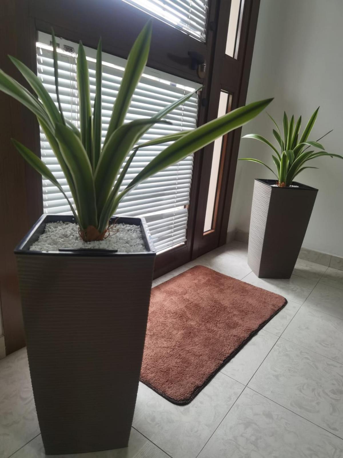 Hotel Edelweiss Laino Borgo Ngoại thất bức ảnh